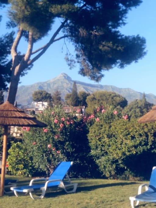 Estudio Torre De Andalucia Μαρμπέλλα Εξωτερικό φωτογραφία